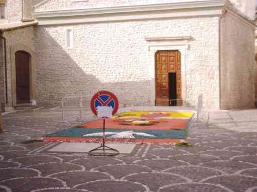 sfoglia le immagini